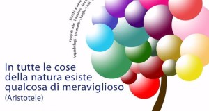 Saggio di fine anno – 6 giugno, ore 18